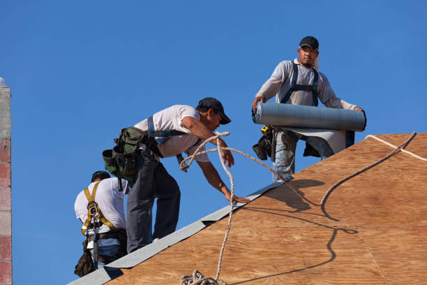 Best Roof Gutter Cleaning  in Tavares, FL