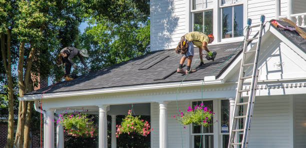 Best Flat Roof Repair Services  in Tavares, FL